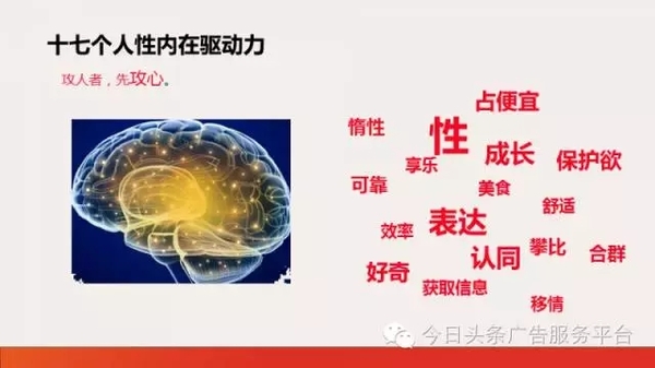 巨宣網(wǎng)絡(luò)