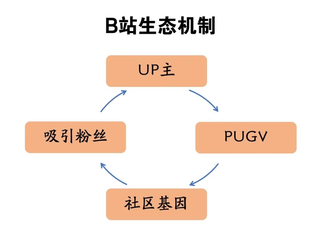 B站生態機制