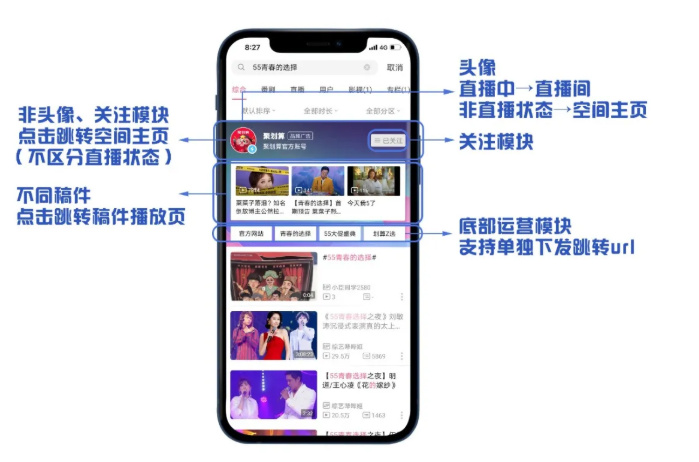 哪些產品可以在嗶哩嗶哩投放廣告？