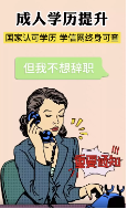 素材類型案例