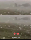 案例