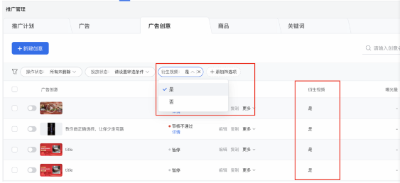 推廣-廣告創意-添加篩選項-衍生視頻