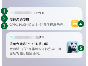 OPPO廣告OPUSH創(chuàng)新樣式小圖&中圖