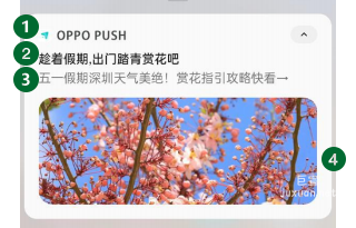 OPPO廣告OPUSH創(chuàng)新樣式大圖