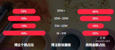 小紅書廣告投放博主個數、粉絲、消耗金額占比