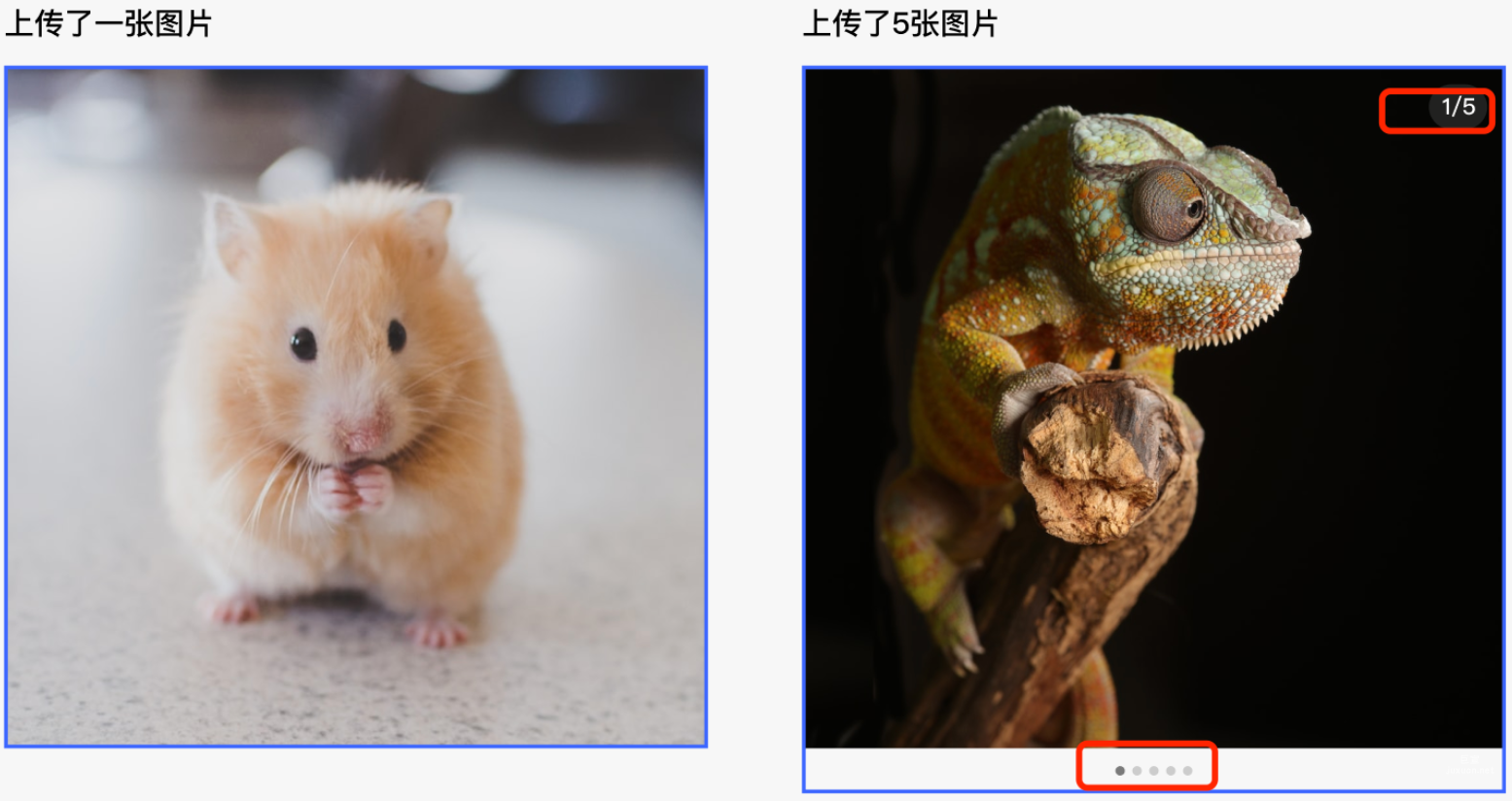 小紅書廣告上傳圖片數量