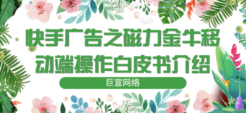 快手廣告之磁力金牛移動端操作白皮書介紹