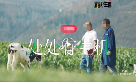 小紅書廣告乍甸乳業
